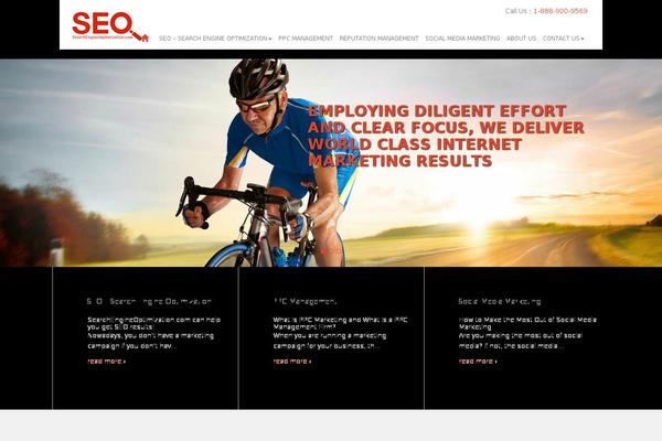 searchengineoptimization.com site used Seo-index