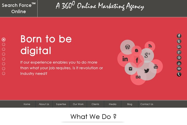 sfo theme websites examples