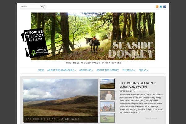 Yamidoo theme site design template sample
