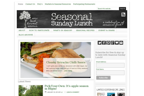 Lifestyle theme site design template sample