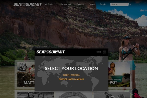 STS theme websites examples