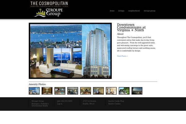 Blackcanvas_20 theme site design template sample