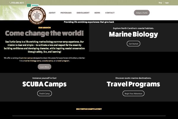 seaturtlecamp.com site used Turtlecamp
