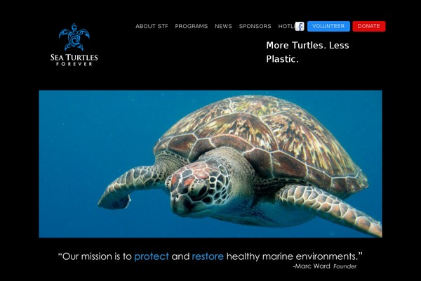 seaturtlesforever.org site used Voyager