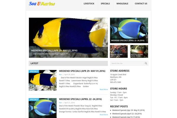 Point theme site design template sample