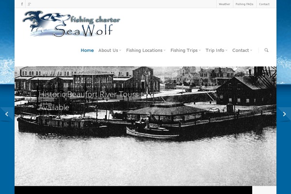 Salient theme site design template sample