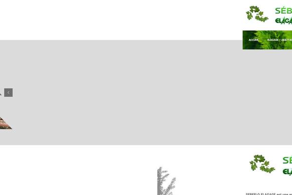 Site using Widgets on Pages plugin