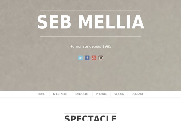 Scrn theme site design template sample