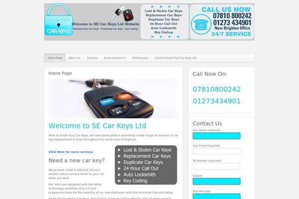 CyberChimps Pro theme site design template sample