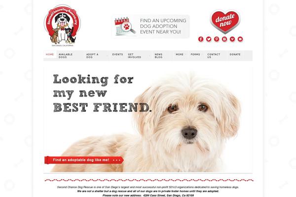 Site using Widgetkit plugin