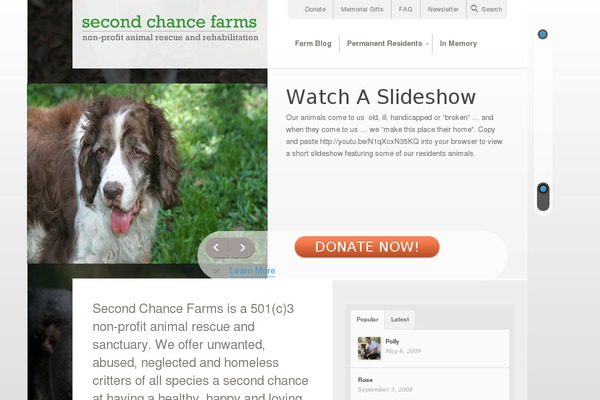 Savinggrace theme site design template sample