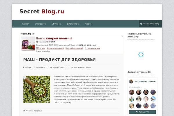 NEWSmaker theme site design template sample