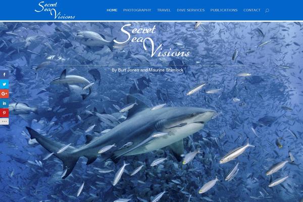 Site using Foogallery-owl-carousel-template plugin