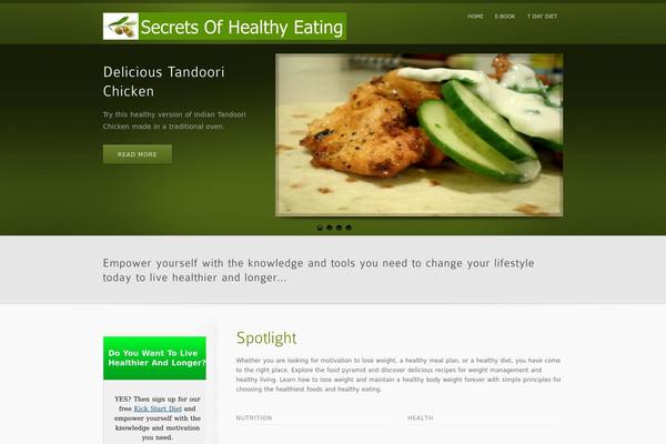 inFocus theme site design template sample