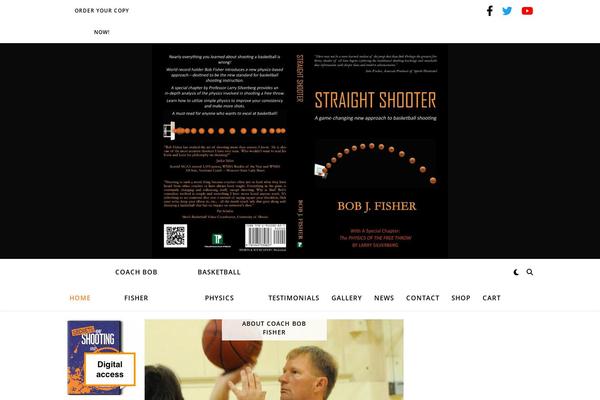 Ashe theme site design template sample