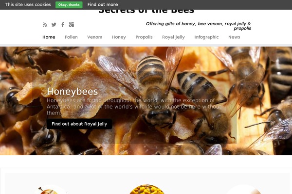 Customizr Pro theme site design template sample