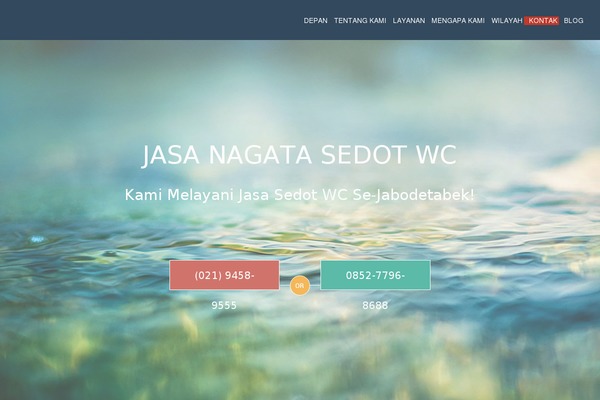 Biznex theme site design template sample