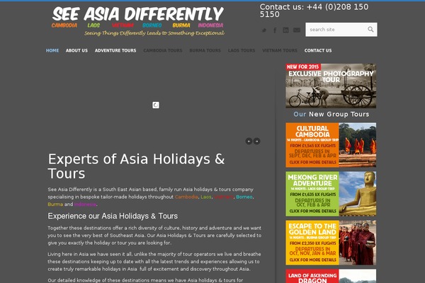 Choices theme site design template sample