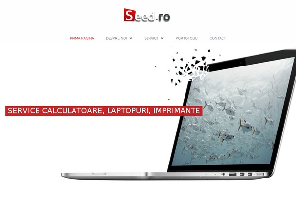 Sd theme site design template sample