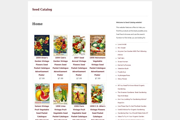 Straightforward theme site design template sample