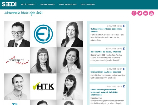 seedi.fi site used Hoyrymoottori