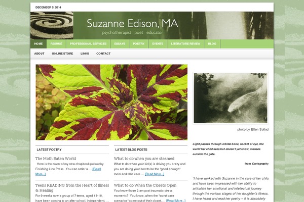 News theme site design template sample