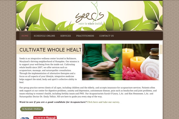 Diner theme site design template sample
