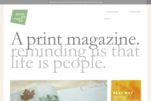 seeingtheeveryday.com site used Anthem