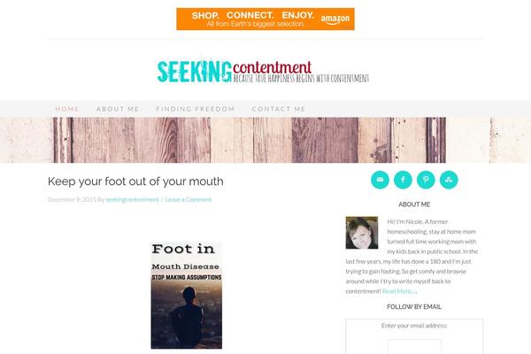 Beautiful Pro Theme theme site design template sample