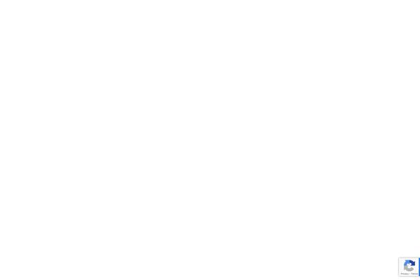 Bronx-wp theme site design template sample