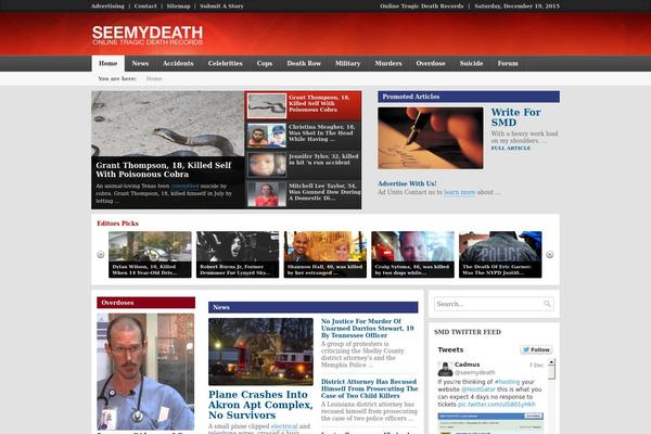 Local News theme site design template sample