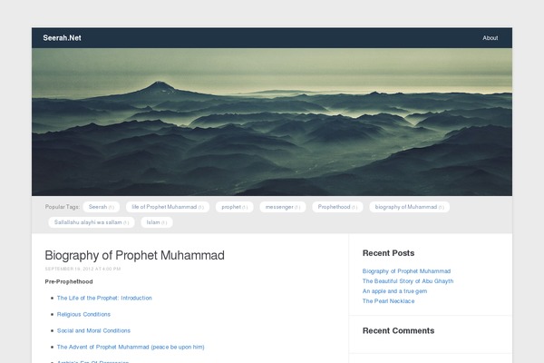 Meeta theme site design template sample