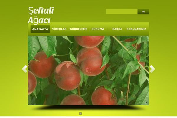 Theme1777 theme site design template sample