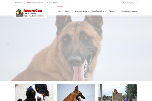 Site using Widget Manager Light plugin