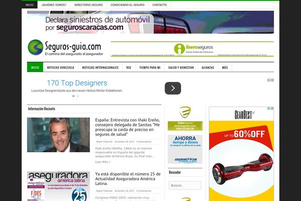 Silver Mag Lite theme site design template sample