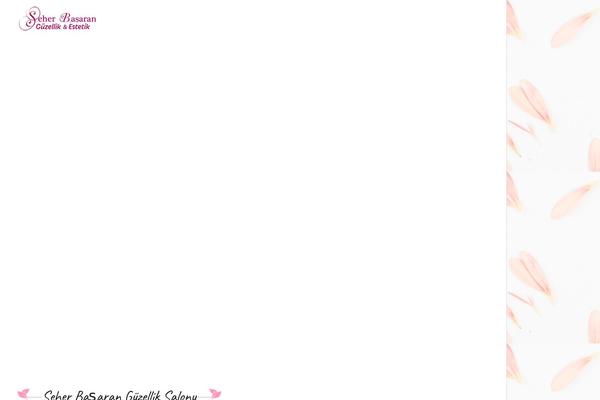 seherbasaran.com site used Seherbasaran