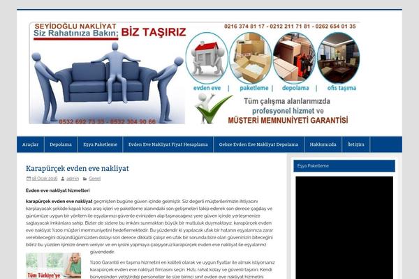 Smartline Lite theme site design template sample