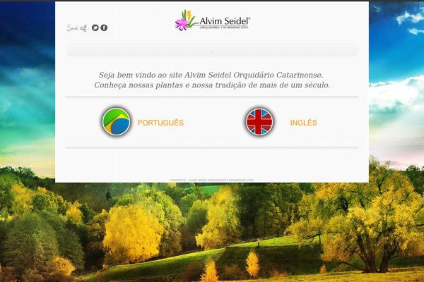 Simple’n’Bright theme site design template sample