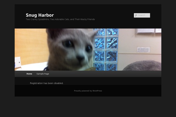 Basic theme site design template sample