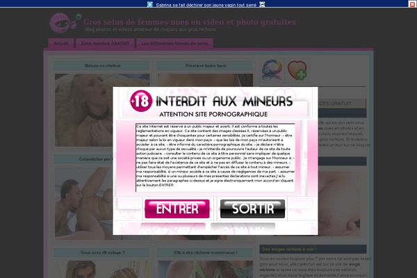 Site using FLV Embed plugin