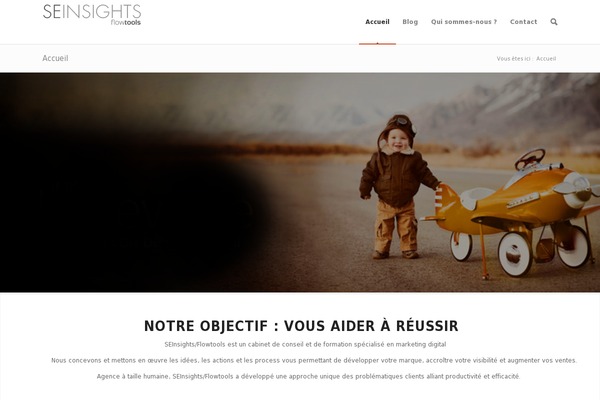 Site using Brizy-pro plugin
