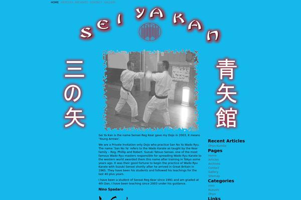Atahualpa333 theme site design template sample