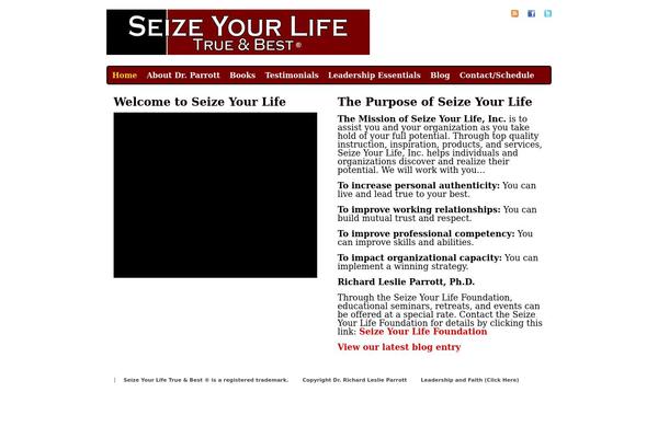 Richwp20110131 theme site design template sample