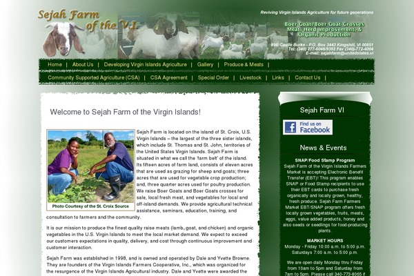 Tree House theme site design template sample