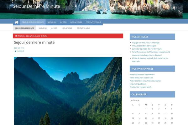 ProMax theme site design template sample