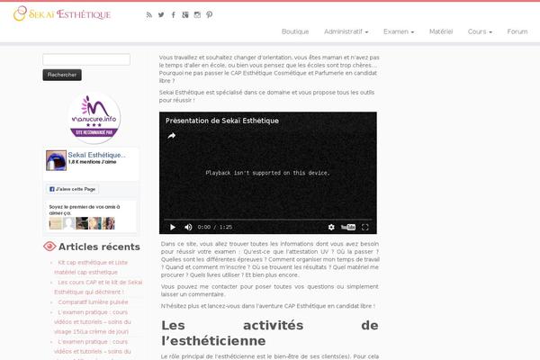 Site using Google Places Reviews plugin