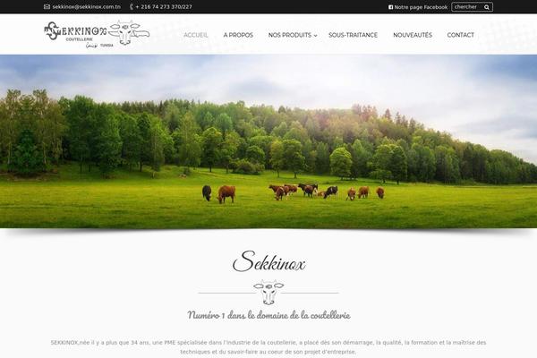Site using WooCommerce-Magic-Grid plugin