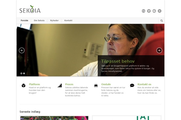 Modernize theme site design template sample