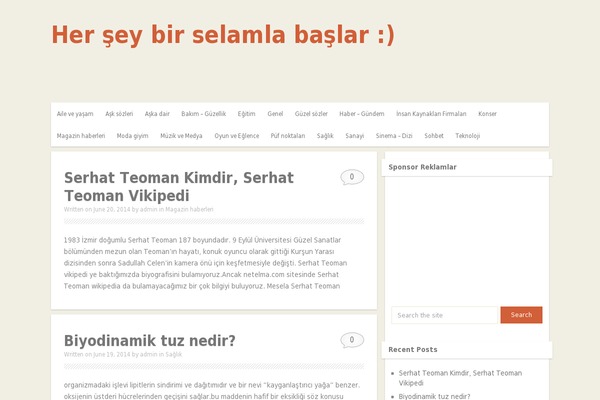 Blog theme site design template sample