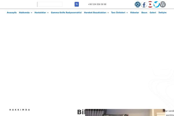 Site using Theplus_elementor_addon plugin